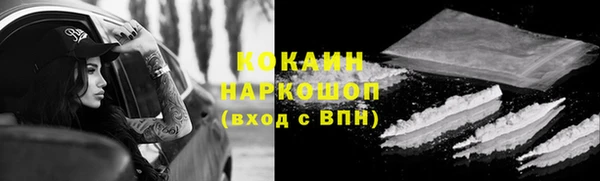 spice Алзамай
