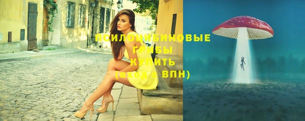 spice Алзамай